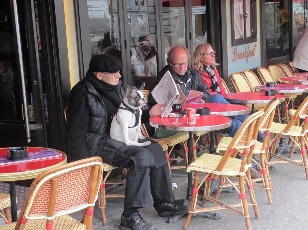 paris cafe with dog